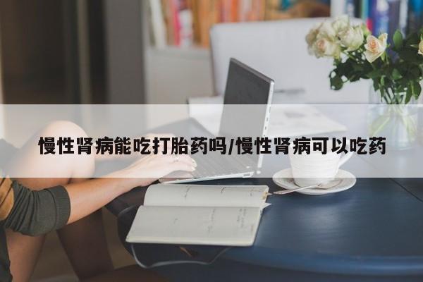 哪个网店有打胎药卖慢性肾病能吃打胎药吗/慢性肾病可以吃药