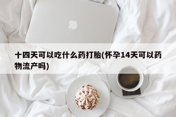 哪个网店有打胎药卖十四天可以吃什么药打胎(怀孕14天可以药物流产吗)